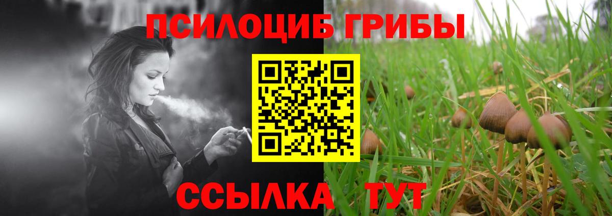 хочу   Вход с VPN  Симферополь  Галлюциногенные грибы мицелий  Псилоцибиновые грибы Magic Shrooms 