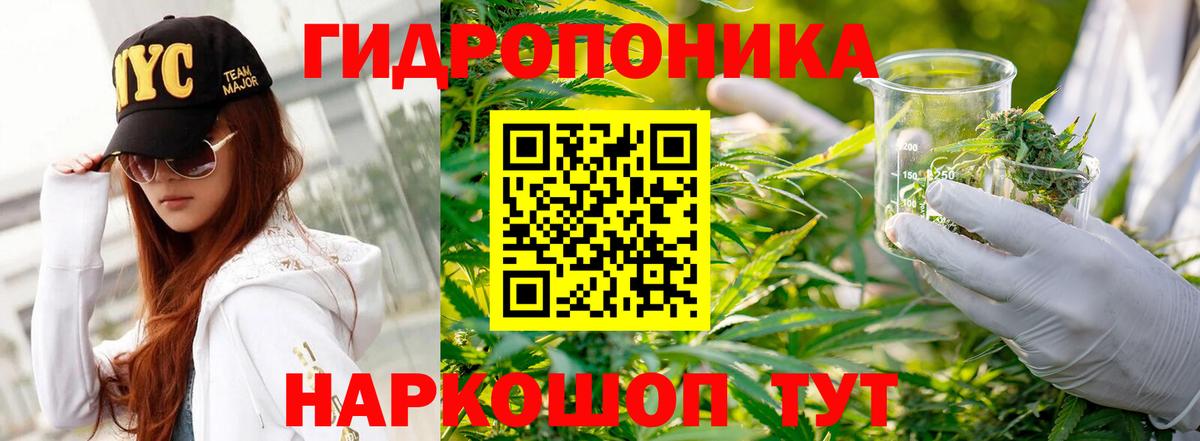 Бошки марихуана VHQ Симферополь